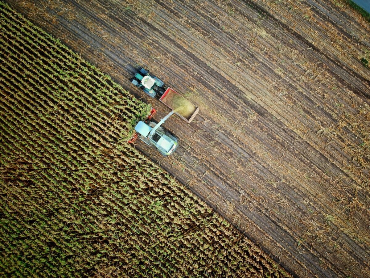 Guía completa sobre software de contabilidad para explotaciones agrícolas | 3
